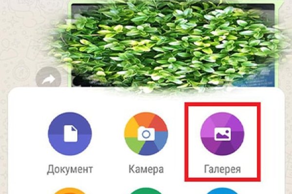 Найдется все kraken 2krn cc что это